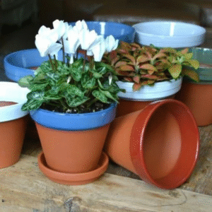 Plastic Flower Pots & Garden Planters