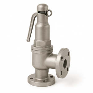 Pressure Relief & Safety Valves