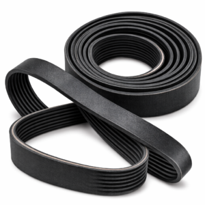 Ribbed Belt