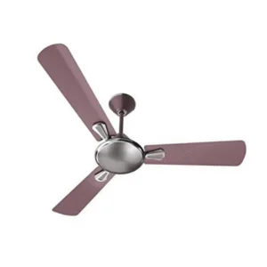 Ceiling & Pedestal Fans