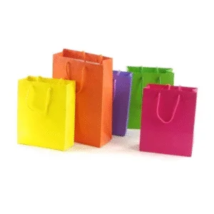 Carry Bags